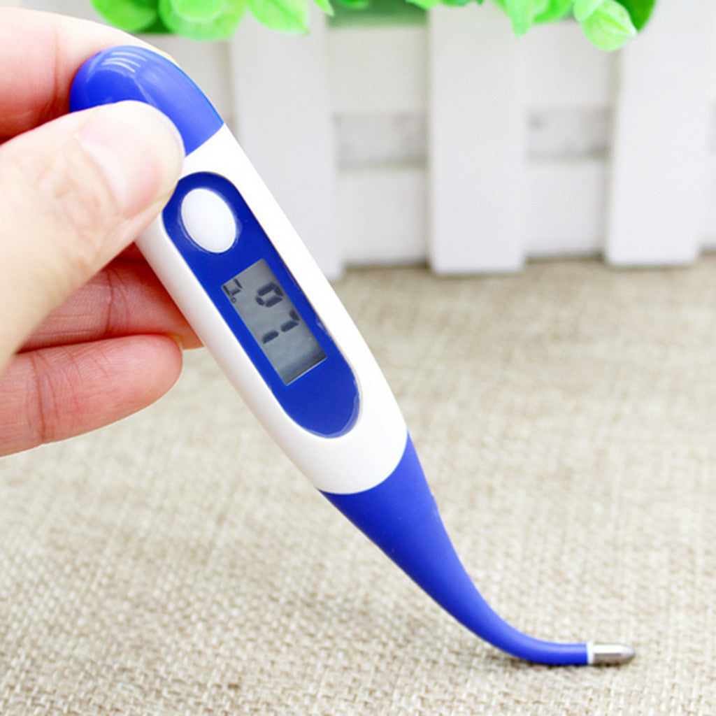 Waterproof Digital Electronic Thermometer